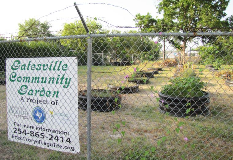 Gatesville community garden
